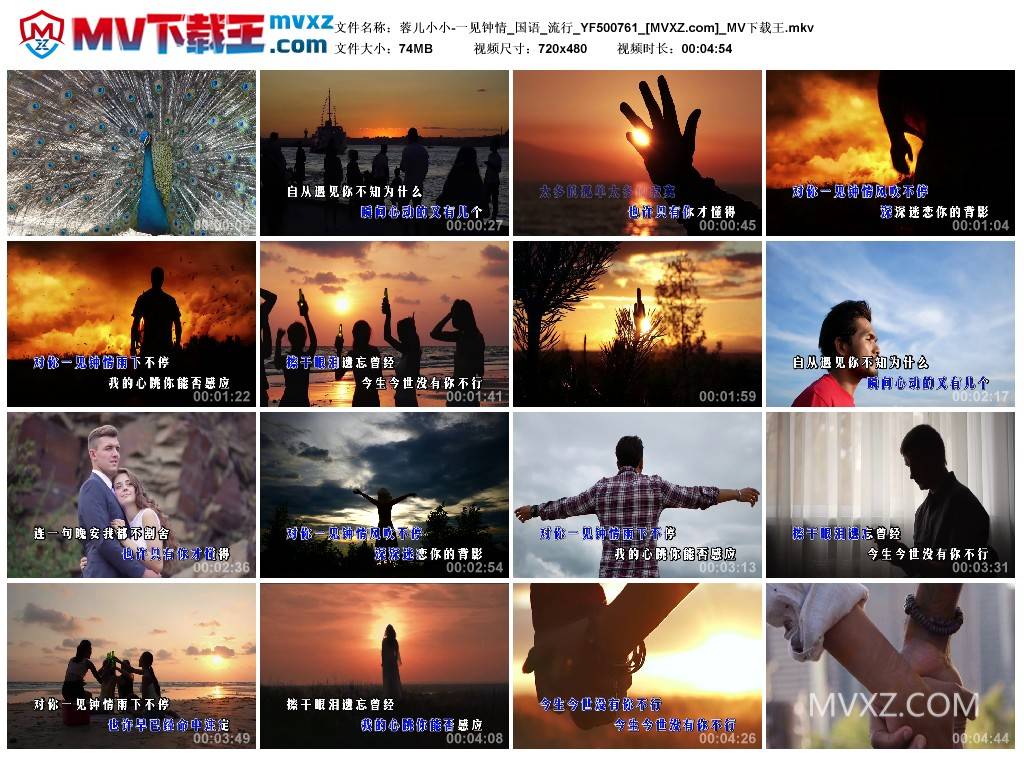 蓉儿小小-一见钟情_国语_流行_YF500761